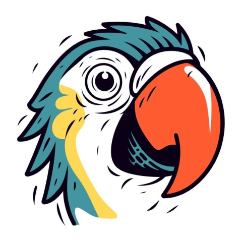 Parrot vector illustration. Isolated parrot on white background.