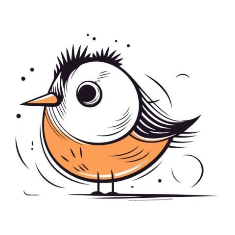 Vector hand drawn illustration of a funny bird. Isolated on whit