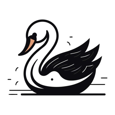 swan with wings on a white background. black and white vector il