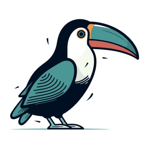 Toucan bird vector illustration. Cartoon animal isolated on whit