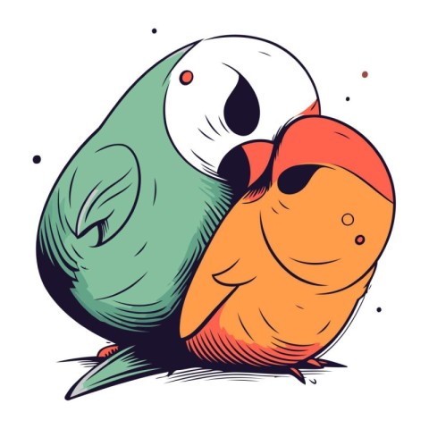 Vector illustration of two cute cartoon parrots isolated on whit