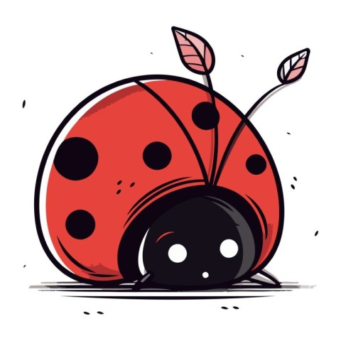 Ladybug vector illustration. Hand drawn ladybug isolated on whit