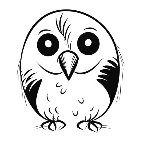 Owl black and white vector illustration isolated on white backgr