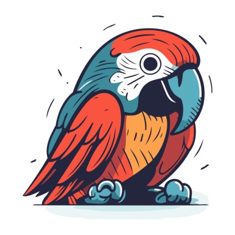 Parrot. Hand drawn vector illustration in cartoon style isolated