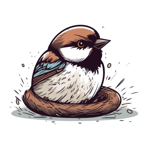 Illustration of a cute little bird sitting in a nest. Vector ill