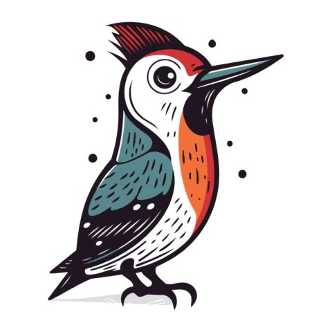 Hand drawn vector illustration of a woodpecker. Isolated on whit