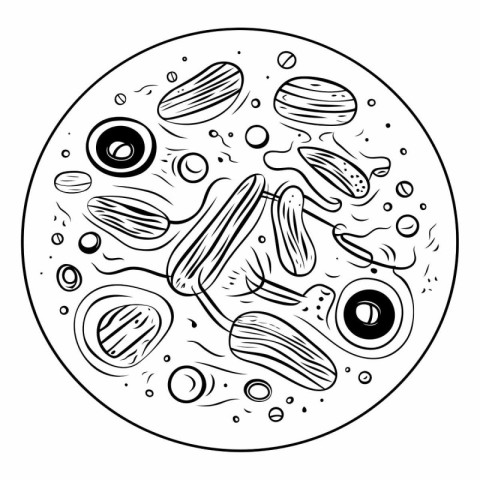 Hand drawn pizza with olives and tomatoes in doodle style.