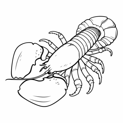 Lobster icon. Hand drawn illustration of lobster vector icon for