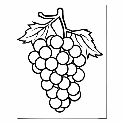 Grapes icon. Outline illustration of grapes icon for web