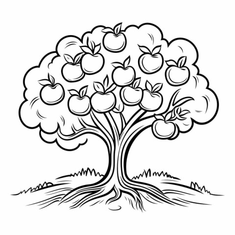 Apple tree isolated on white background. Black and white vector