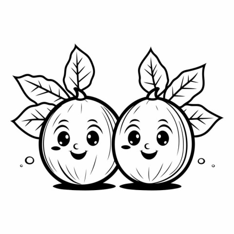 Cute couple of apricots with leaves.