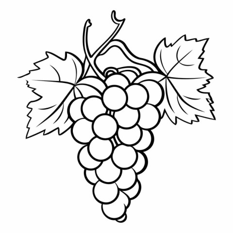 Black and white illustration of a bunch of grapes with leafs.