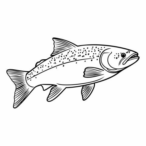 Salmon fish icon. Outline illustration of salmon fish vector ico