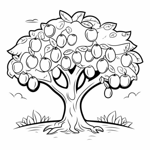 Apple tree with ripe apples. Black and white vector illustration