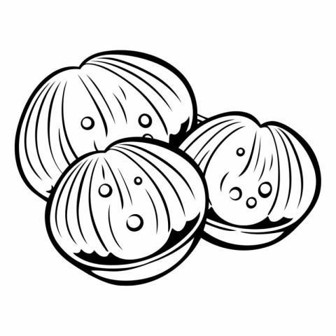 Illustration of nuts in black and white on a white background.