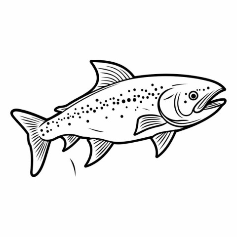 Salmon fish icon. Outline illustration of salmon fish vector ico