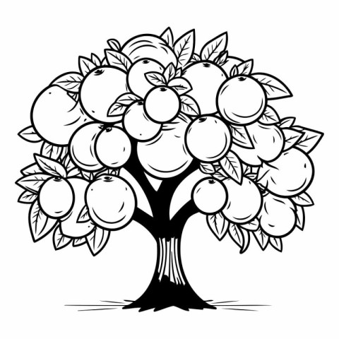 Illustration of an apple tree. Black and white vector illustrati