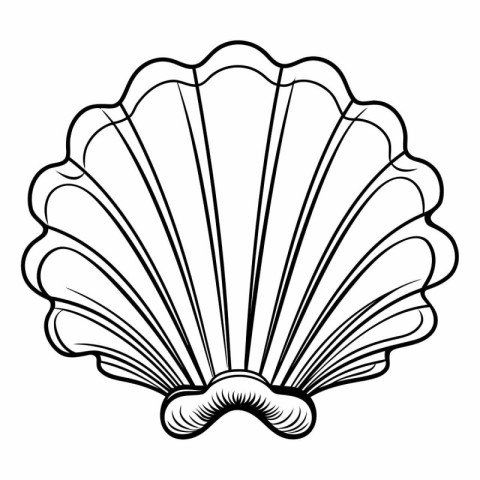 Seashell. Black and white vector illustration for coloring book.