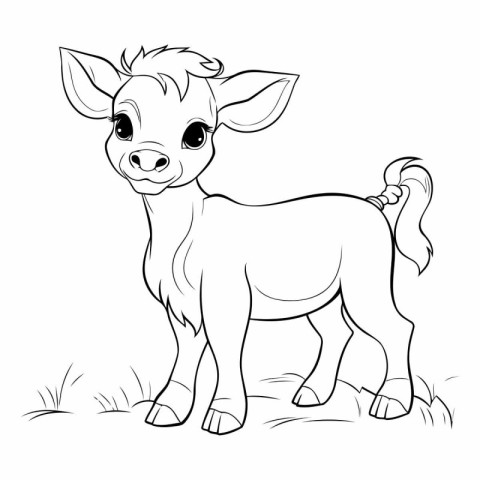 Cute little calf on a meadow for coloring book.