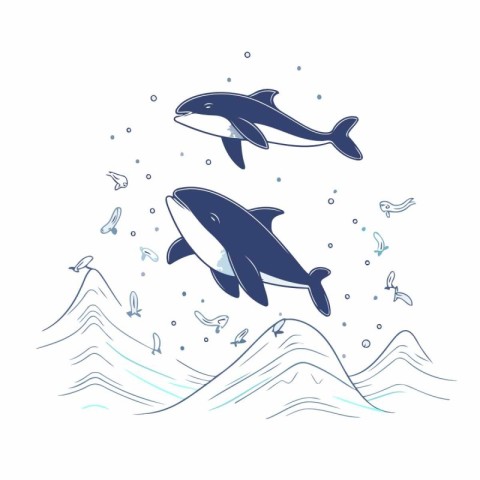 Dolphins in the sea. Hand drawn vector illustration on white bac