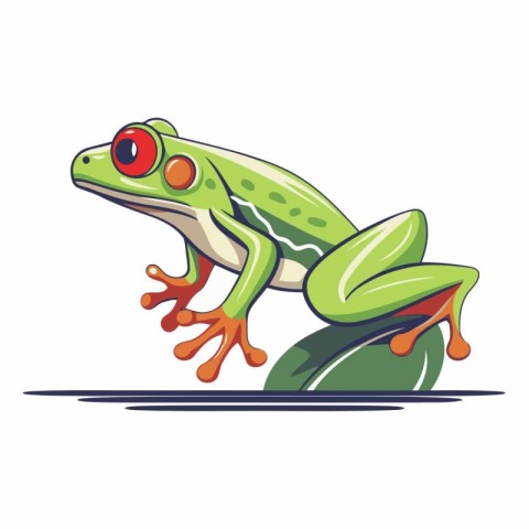 Frog cartoon icon of a green frog on a white background.