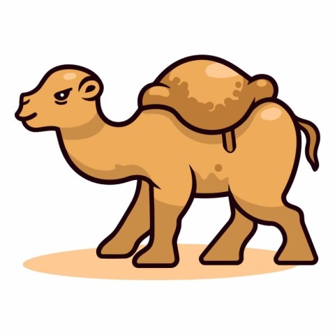 Cute cartoon camel isolated on a white background.