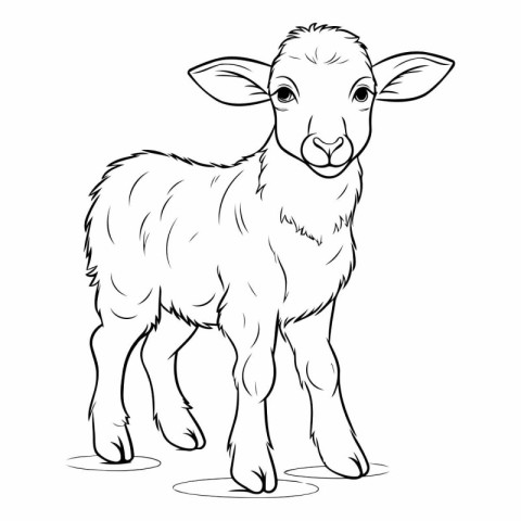 Lamb black and white vector illustration isolated on a white bac