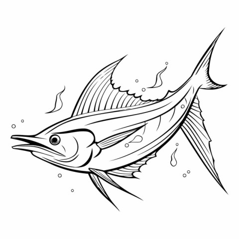 Illustration of a marlin fish isolated on a white background.