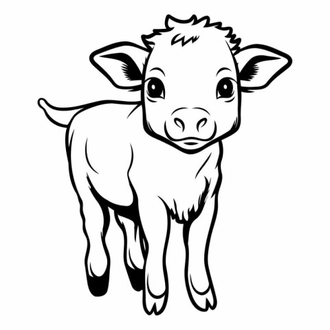 Vector image of a calf on a white background. Farm animal.