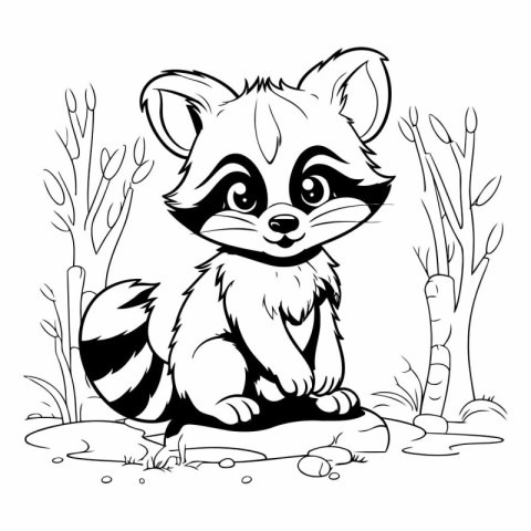 Cute raccoon sitting on a rock in the forest