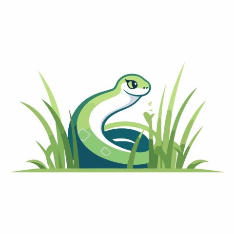 Green snake in the grass on a white background.