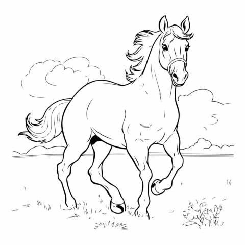 Horse running on the meadow. Black and white vector illustration