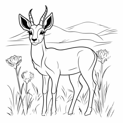 Black and white vector illustration of antelope in the meadow.