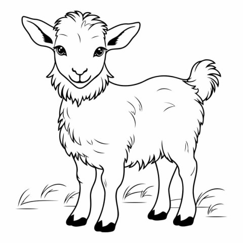 illustration of a goat on a white background in black and white