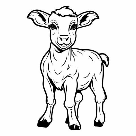 Vector image of a goat on a white background. Farm animal.