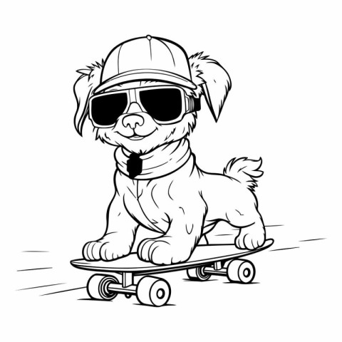 Puppy on skateboard for your design.