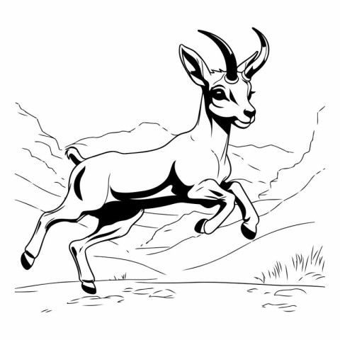 Vector image of a goat running in the mountains. Black and white