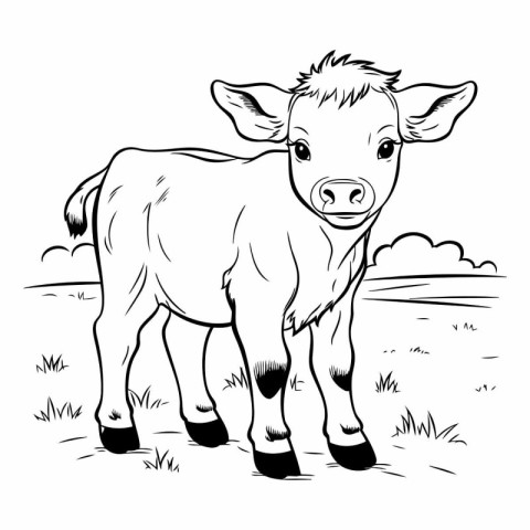 Cute calf on the meadow. Black and white vector illustration.