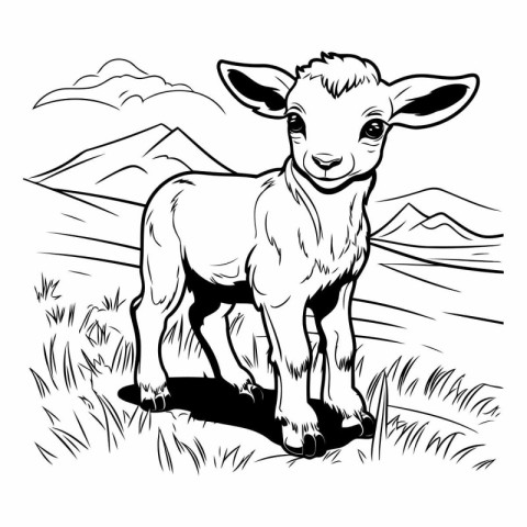 Vector image of a sheep standing in the field. Black and white i