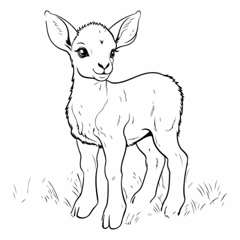 Vector image of a little lamb on a meadow. Hand drawn sketch.