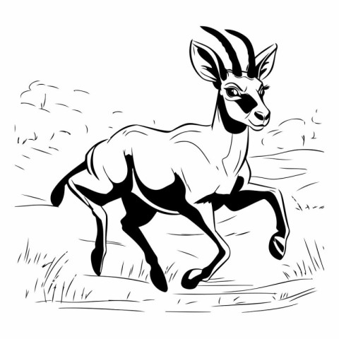 Vector image of a wild african antelope. sketch for your design