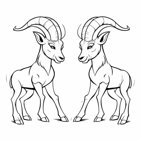 Vector image of a goat on a white background. Monochrome image.