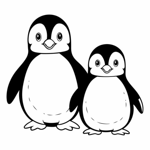 cute penguins couple cartoon vector illustration graphic design