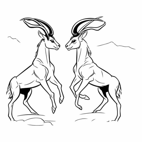 Black and white vector illustration of a wild gazelle or antelop