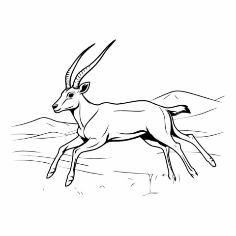 Black and white sketch of a gazelle. antelope