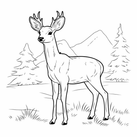 Deer in the mountains of a deer on a white background.