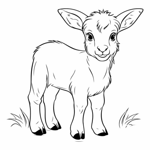 Vector image of a baby goat on a white background. Sketch.