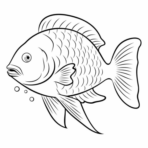 Illustration of a fish on a white background.