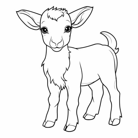 Vector image of a baby goat on a white background. Coloring book