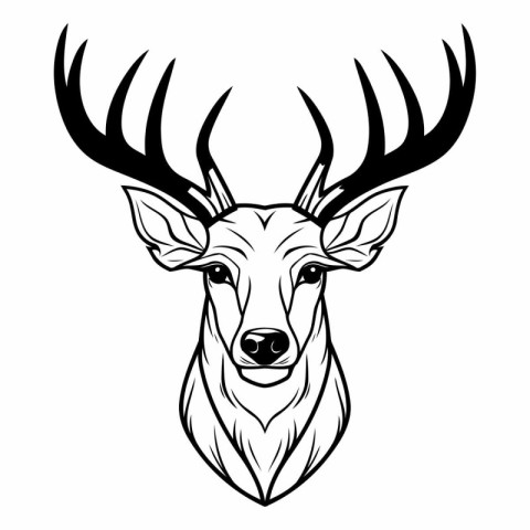 Deer head isolated on white background for tattoo or t-shirt des